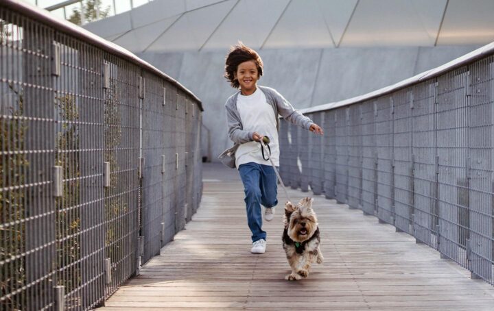 Een kind dat de hond uitlaat