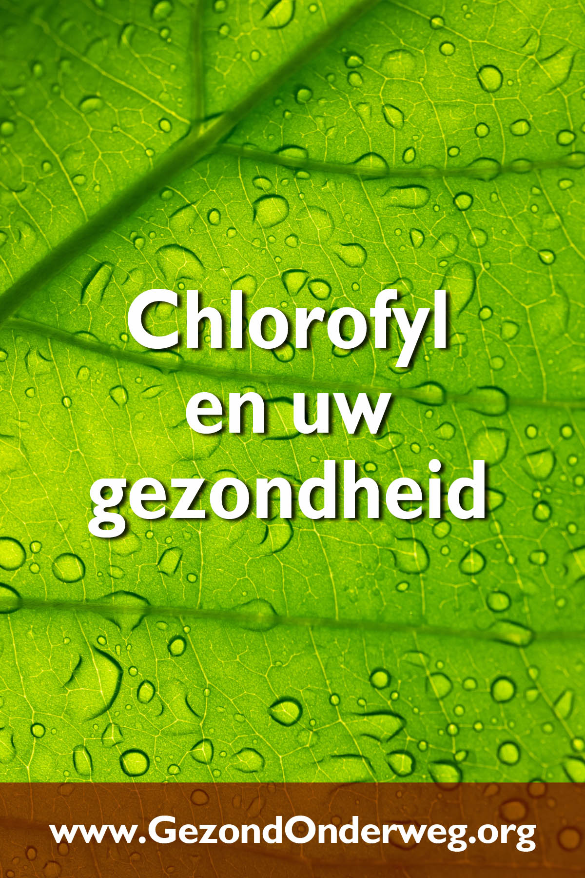 Chlorofyl en uw gezondheid