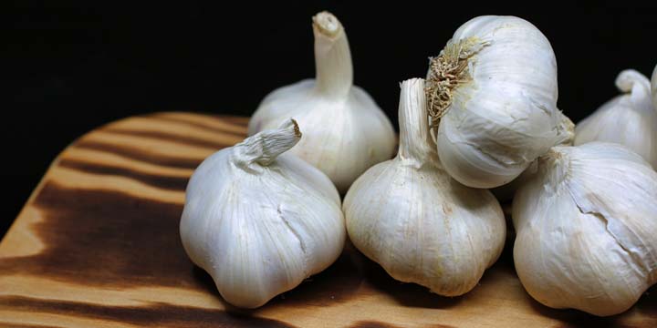 Knoflook heeft veel beschermende plantenstoffen. Foto door Nick Collins van Pexels.